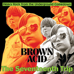 Brown Acid - The Seventeenth Trip Various Brown Acid - The Seventeenth Trip Various VINYL LP
