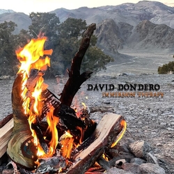 David Dondero Immersion Therapy vinyl LP