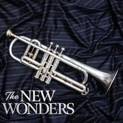 New Wonders New Wonders VINYL LP