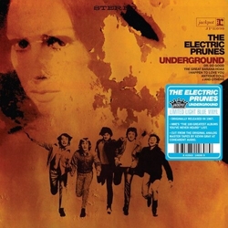 Electric Prunes Underground VINYL LP