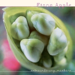 Fiona Apple Extraordinary Machines VINYL LP
