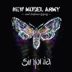 New Model Army Sinfonia (W Dvd) (Ltd) (Medb) CD