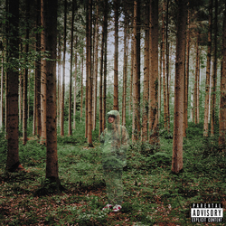 Grandson I Love You Im Trying vinyl LP