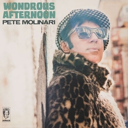 Pete Molinari Wondrous Afternoon vinyl LP