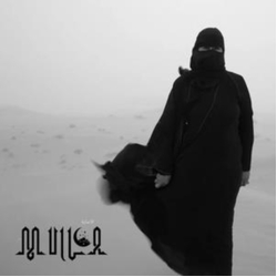 Mulla Injury (Uk) vinyl LP