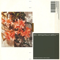 Popp Polygonia Candid vinyl LP