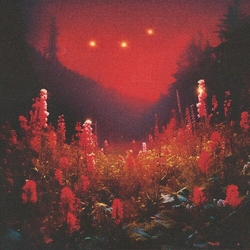 Silent Planet Superbloom vinyl LP