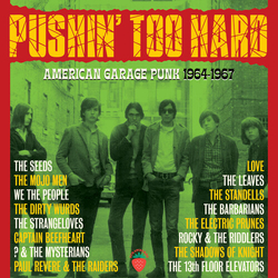 Pushin Too Hard American Garage Punk 1964-1967 Pushin Too Hard American Garage Punk 1964-1967 CD