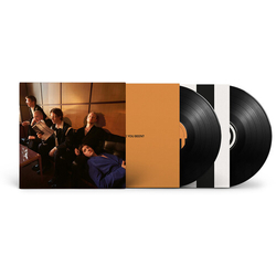 Giant Rocks How Have You Been VINYL LP