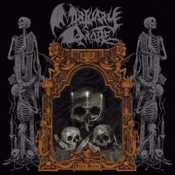 Mortuary Drape Black Mirror GRAY  VINYL LP