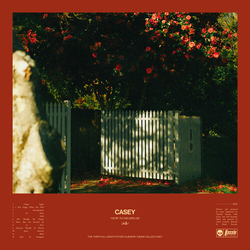 Casey How To Disappear YELLOW VINYL LP