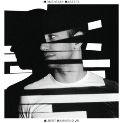 Albert Jr Hammond Momentary Masters VINYL LP