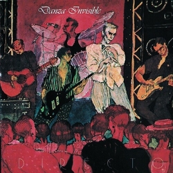 Danza Invisible Directo VINYL LP