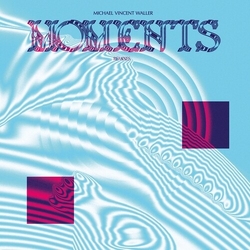 Michael Vincent Waller Moments Remixes vinyl LP