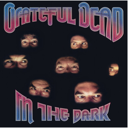 Grateful Dead In The Dark (Slv) VINYL LP