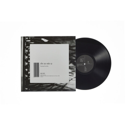 Pay Money To My Pain After You Wake Up VINYL LP