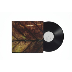 Pay Money to My Pain gene 180Gm Lp Limited Edition VINYL LP