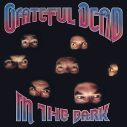 Grateful Dead In The Dark VINYL LP