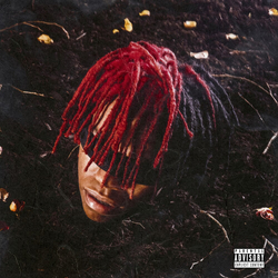 Dc The Don Funeral VINYL LP