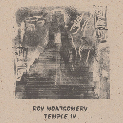 Roy Montgomery Temple Iv (Bonus Tracks) VINYL LP