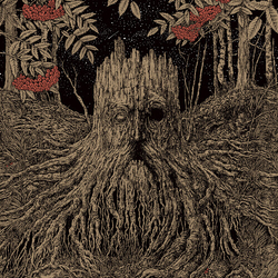Olhava Sacrifice vinyl LP