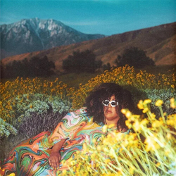 Brittany Howard What Now VINYL LP