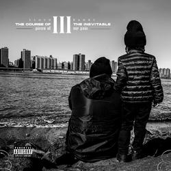 Lloyd Banks Course Of The Inevitable 3 Pieces Of My Pain vinyl LP