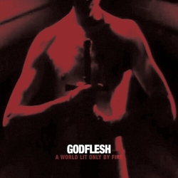 Godflesh World Only Lit By Fire (Colv) (Red) vinyl LP