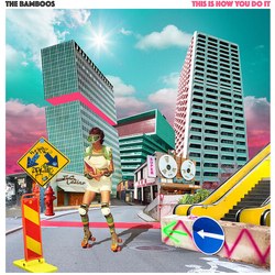 Bamboos This Is How You Do It VINYL LP