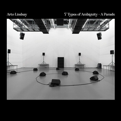 Arto Lindsay 7 Types Of Ambiguity - A Parade vinyl LP