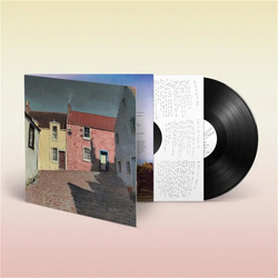 Bill Ryder-Jones Iechyd Da (Uk) vinyl LP
