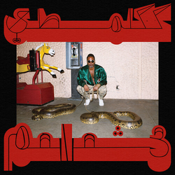 Shabazz Palaces Robed In Rareness - Ruby (Ruby) VINYL LP