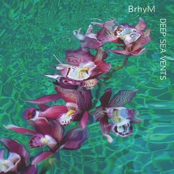 Brhym Deep Sea Vents (Viol) (Iex) VINYL LP