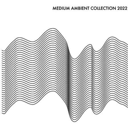 Medium Ambient Collection 2022 White Various Medium Ambient Collection 2022 White Various VINYL LP