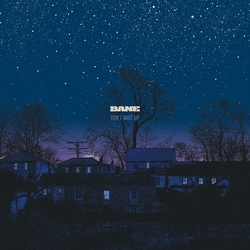 Bane Dont Wait Up vinyl LP