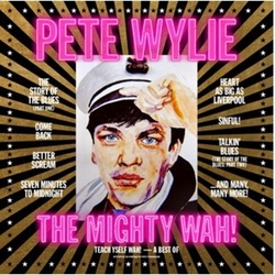 Wylie,Pete & The Mighty Wah Teach Yself Wah Best Of Pete Wylie & Mighty Wah VINYL LP