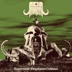 Acid Mammoth Supersonic Megafauna Collision vinyl LP