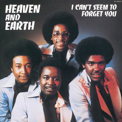 Heaven & Earth Cant Seem To Forget You (Reis) vinyl LP