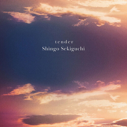 Shingo Sekiguchi Tender vinyl LP