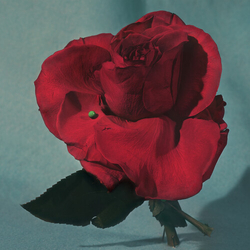 Metz Up On Gravity Hill - Clear W Red VINYL LP