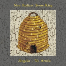 New Radiant Storm King Singular No Article VINYL LP