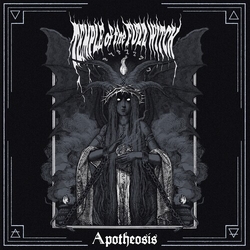 Temple Of The Fuzz Witch Apotheosis vinyl LP