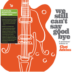 We Still Cant Say Goodbye A Musicians Various We Still Cant Say Goodbye A Musicians Various VINYL LP