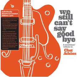 We Still Cant Say Goodbye A Musicians Various We Still Cant Say Goodbye A Musicians Various VINYL LP