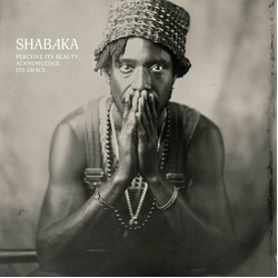 Shabaka Perceive Its Beauty, Acknowledge Its Grace VINYL LP