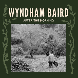 Wyndham Baird After The Morning VINYL LP