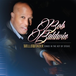 Bob Baldwin Mellowonder- Songs In The Key Of Stevie VINYL LP