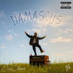 Elvie Shane Damascus VINYL LP