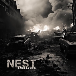 Nest Endeavors VINYL LP