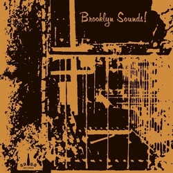Brooklyn Sounds Brooklyn Sounds VINYL LP